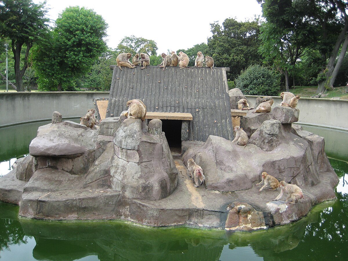 🏞️ 오하마 공원(大浜公園) 이미지 8